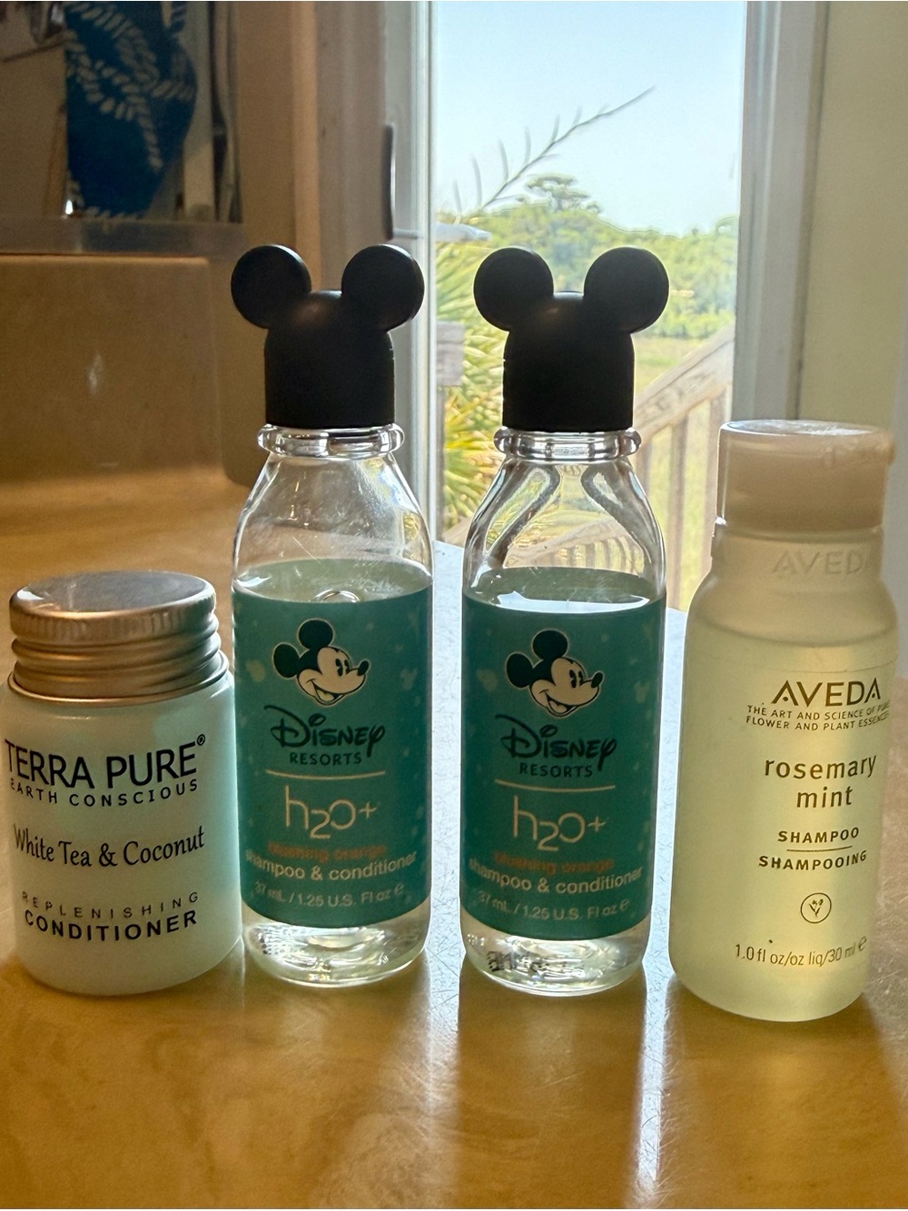 Disney travel shampoo & conditioner + AVEDA Rosemary Mint Shampoo